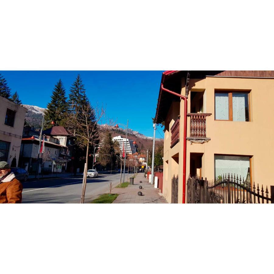 Vaso Apartament Sinaia Ngoại thất bức ảnh