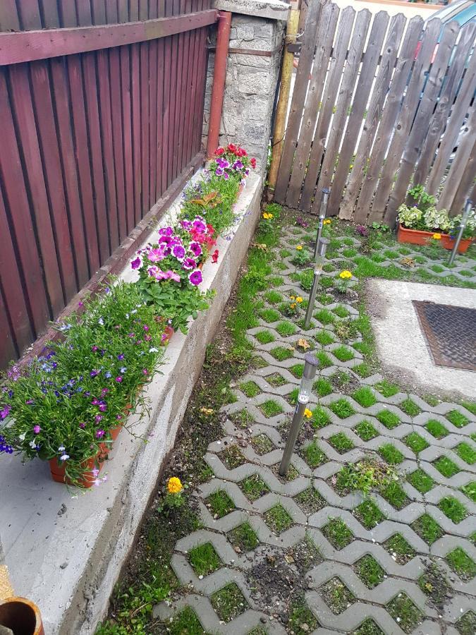 Vaso Apartament Sinaia Ngoại thất bức ảnh